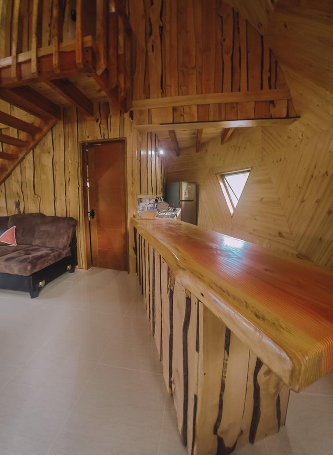 Domos Elohim Villa Pucon Bagian luar foto