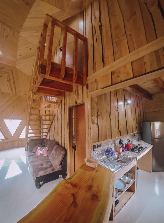 Domos Elohim Villa Pucon Bagian luar foto
